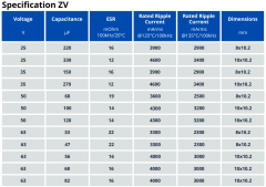 PANASONIC Specifications: ZV Series