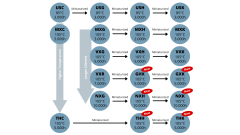 RUBYCON: Series Overview