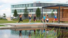 This image shows employees practicing Yoga at CODICO Central Park.